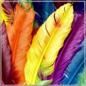 Feathers