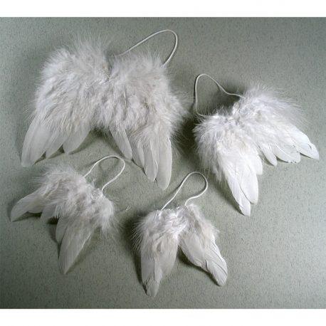 ANGEL WINGS 9.5 X 7.5CM