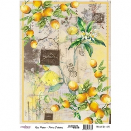 LEMONS & STAMPS RICE PAPER