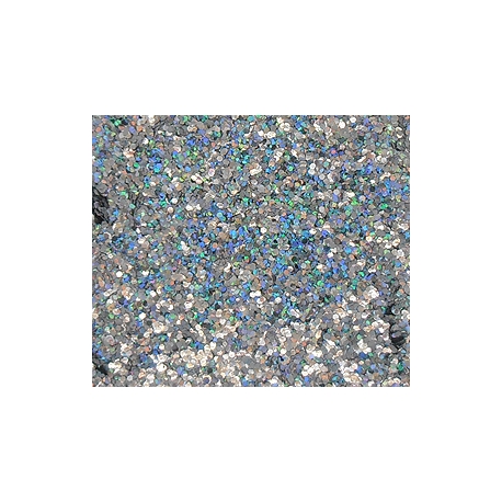 COLORBERRY CHUNKY GLITTER - HOLOGRAPHIC - 90G