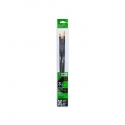 CAMPUS ACRYLIC AND OIL SYNTHETIC BRUSH SET X3 - FLAT - FILBERT - ROUND