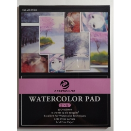 WATERCOLOR PAD 300GRMS 12 SHEETS 12`` X 16`` GLUED