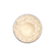 COLORBERRY PEARLSCENT PIGMENT POWDER - CARAT GOLD - 50G