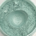 COLORBERRY PEARLSCENT PIGMENT POWDER - CARAT GOLD - 50G