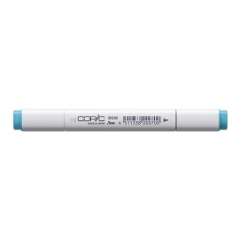 COPIC CLASSIC MARKER - TYPE BG - 05