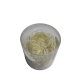 FUNNY FLOWER 6CM (6PCS) - DOVE GREY