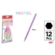 PASTEL COLOURED PENCILS SET X 12PCS