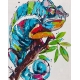 PAINTING BY NUMBERS 40 X 50CM COLOURFUL CHAMELEON KIT
