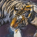 THE TIGER 70 X 70CM CRYSTAL ART DIAMOND PAINTING KIT