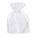 MINT GREEN ORGANZA BAGS - 8X10CM - PACK OF 6