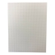 PLASTIC CANVAS - RECTANGLE 26CMS X 34CMS - 2.3MM