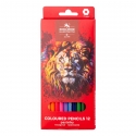 SCHOOL COLOURED PENCIL SET 12