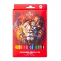SCHOOL COLOURED PENCIL SET 36