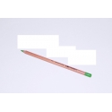 ARTISTS SOFT PASTEL PENCIL - APPLE GREEN