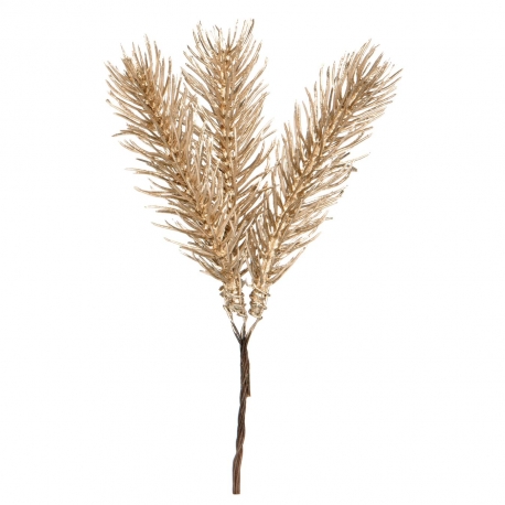 STRAIGHT PICKS BUNCH - CHAMPAGNE