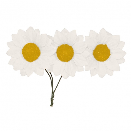 PICK W/12 PAPER DAISY FLOWERS