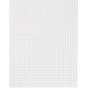PLASTIC CANVAS - RECTANGLE 26CMS X 34CMS - 2.3MM