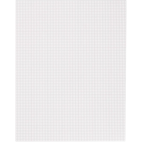 PLASTIC CANVAS - RECTANGLE 26CMS X 34CMS - 2.3MM