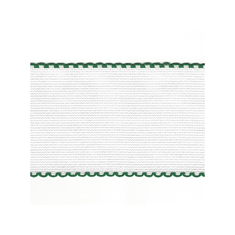 AIDA BAND 5CM 14 COUNT - GREEN TRIM - BY THE METER