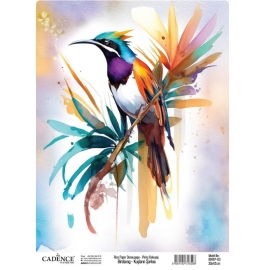 BIRD`S SONG RICE DECOUPAGE PAPER BRRP-03 30 X 42CM