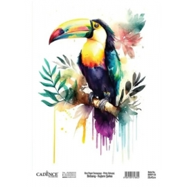 BIRD`S SONG RICE DECOUPAGE PAPER BRRP-04 30 X 42CM