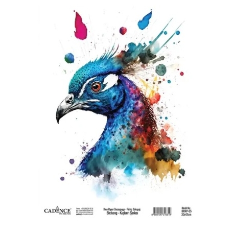 BIRD`S SONG RICE DECOUPAGE PAPER BRRP-05 30 X 42CM