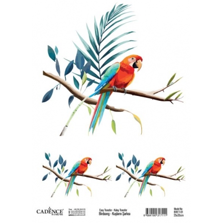 BIRD`S SONG "EASY" TRANSFER COLLECTION BRET-01 25 X 35CM