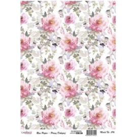 Rice Paper - 29x42cm