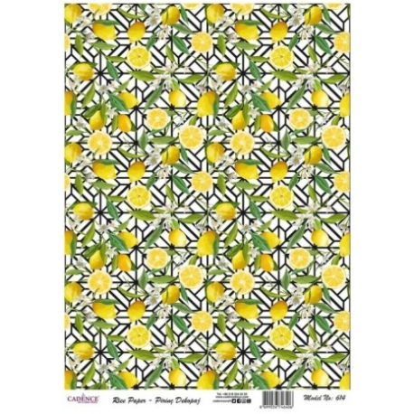 Rice Paper - 29x42cm