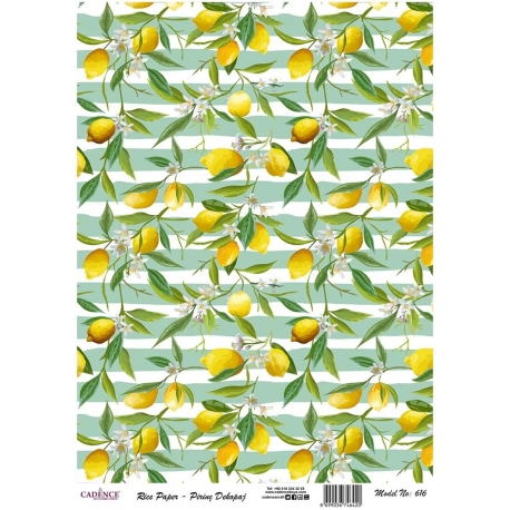 Rice Paper - 29x42cm