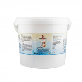 BABY BUMP PLASTER CAST 