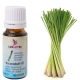 CANDLE FRAGRANCE OIL - LEMON GRASS