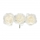 PICK W/12 PAPER ROSES CM3.5 - WHITE