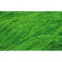 Sisal Fiber - Bright Green
