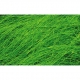 Sisal Fiber - Bright Green