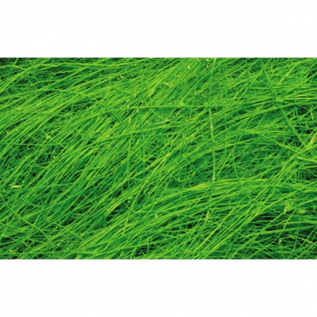 Sisal Fiber - Bright Green