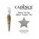 GLITTER POWDER PEN 10GRM - HOLOGRAM BLACK