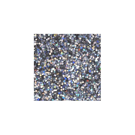 DIAMOND GLITTER 40GRM - SILVER HOLOGRAM 