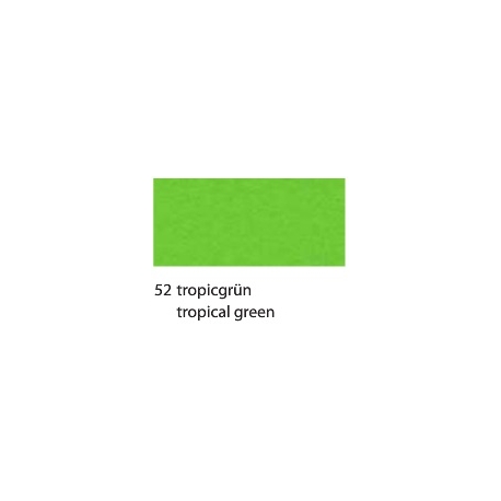 CARDBOARD A4 - TROPICAL GREEN