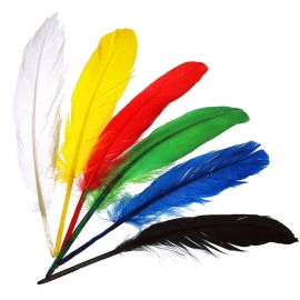 INDIAN FEATHERS - ASSORTED 